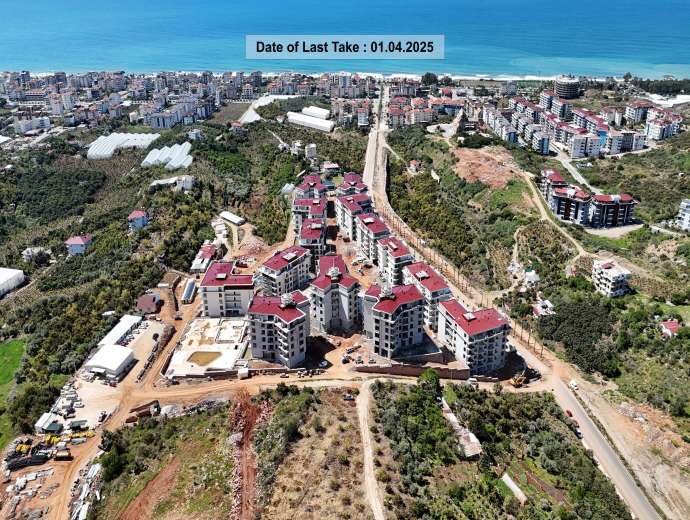 Plan 19